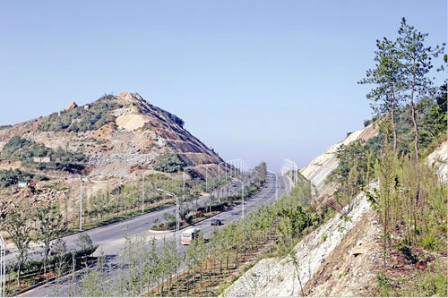 绿化,亮化后的应广大道大山口路段